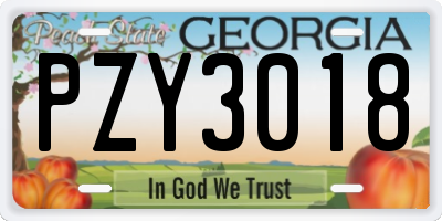 GA license plate PZY3018