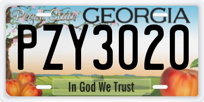 GA license plate PZY3020