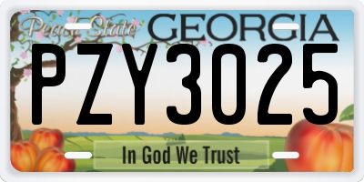 GA license plate PZY3025