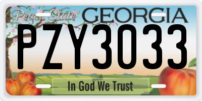 GA license plate PZY3033