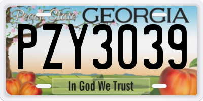 GA license plate PZY3039