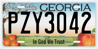 GA license plate PZY3042