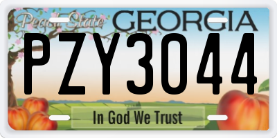 GA license plate PZY3044