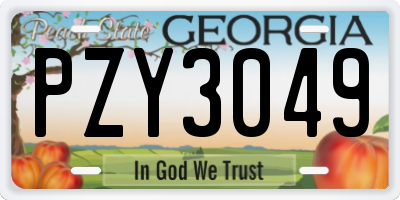 GA license plate PZY3049