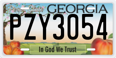 GA license plate PZY3054