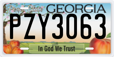 GA license plate PZY3063