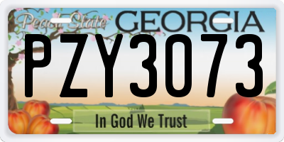 GA license plate PZY3073