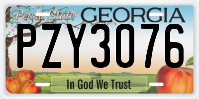 GA license plate PZY3076