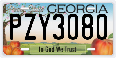 GA license plate PZY3080