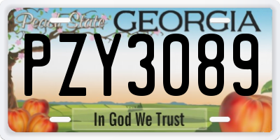 GA license plate PZY3089