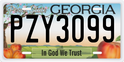 GA license plate PZY3099