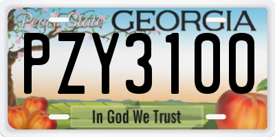 GA license plate PZY3100