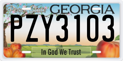 GA license plate PZY3103