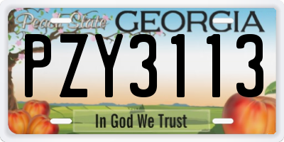 GA license plate PZY3113