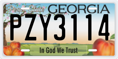 GA license plate PZY3114