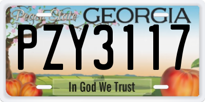 GA license plate PZY3117
