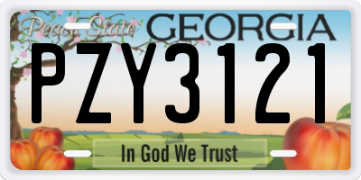 GA license plate PZY3121