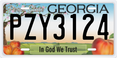 GA license plate PZY3124