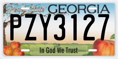GA license plate PZY3127
