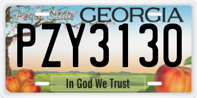 GA license plate PZY3130