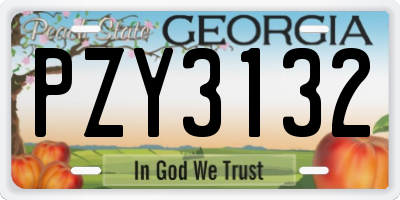 GA license plate PZY3132