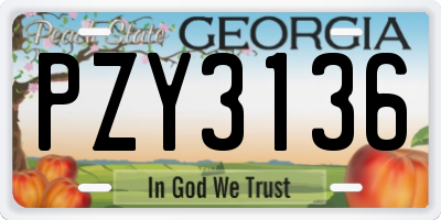 GA license plate PZY3136