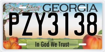 GA license plate PZY3138