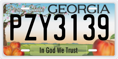 GA license plate PZY3139