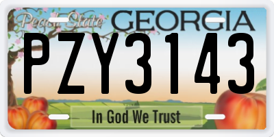 GA license plate PZY3143