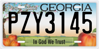 GA license plate PZY3145