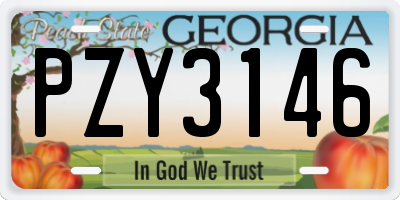 GA license plate PZY3146
