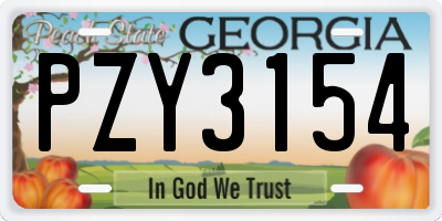 GA license plate PZY3154