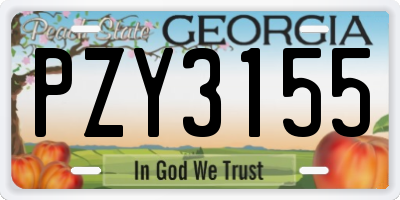 GA license plate PZY3155