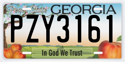 GA license plate PZY3161