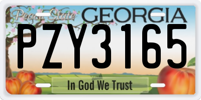 GA license plate PZY3165