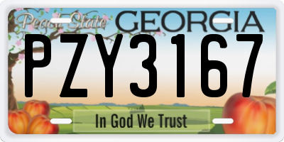 GA license plate PZY3167