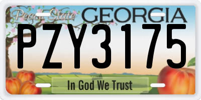 GA license plate PZY3175