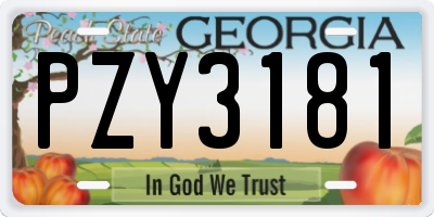 GA license plate PZY3181