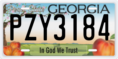 GA license plate PZY3184