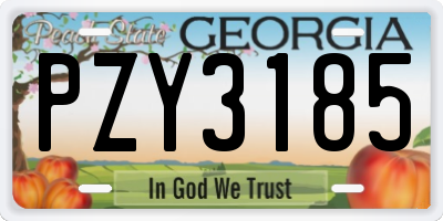 GA license plate PZY3185