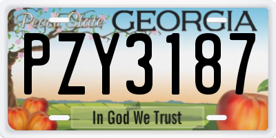 GA license plate PZY3187