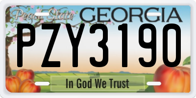 GA license plate PZY3190