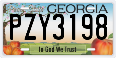 GA license plate PZY3198