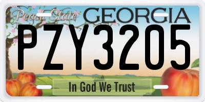 GA license plate PZY3205