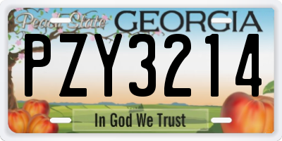GA license plate PZY3214