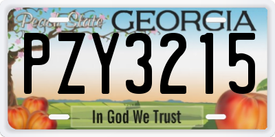 GA license plate PZY3215