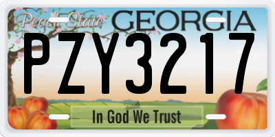 GA license plate PZY3217