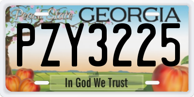 GA license plate PZY3225