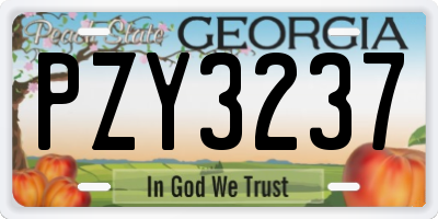 GA license plate PZY3237
