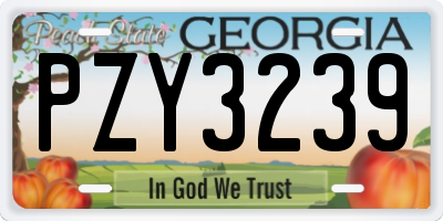 GA license plate PZY3239